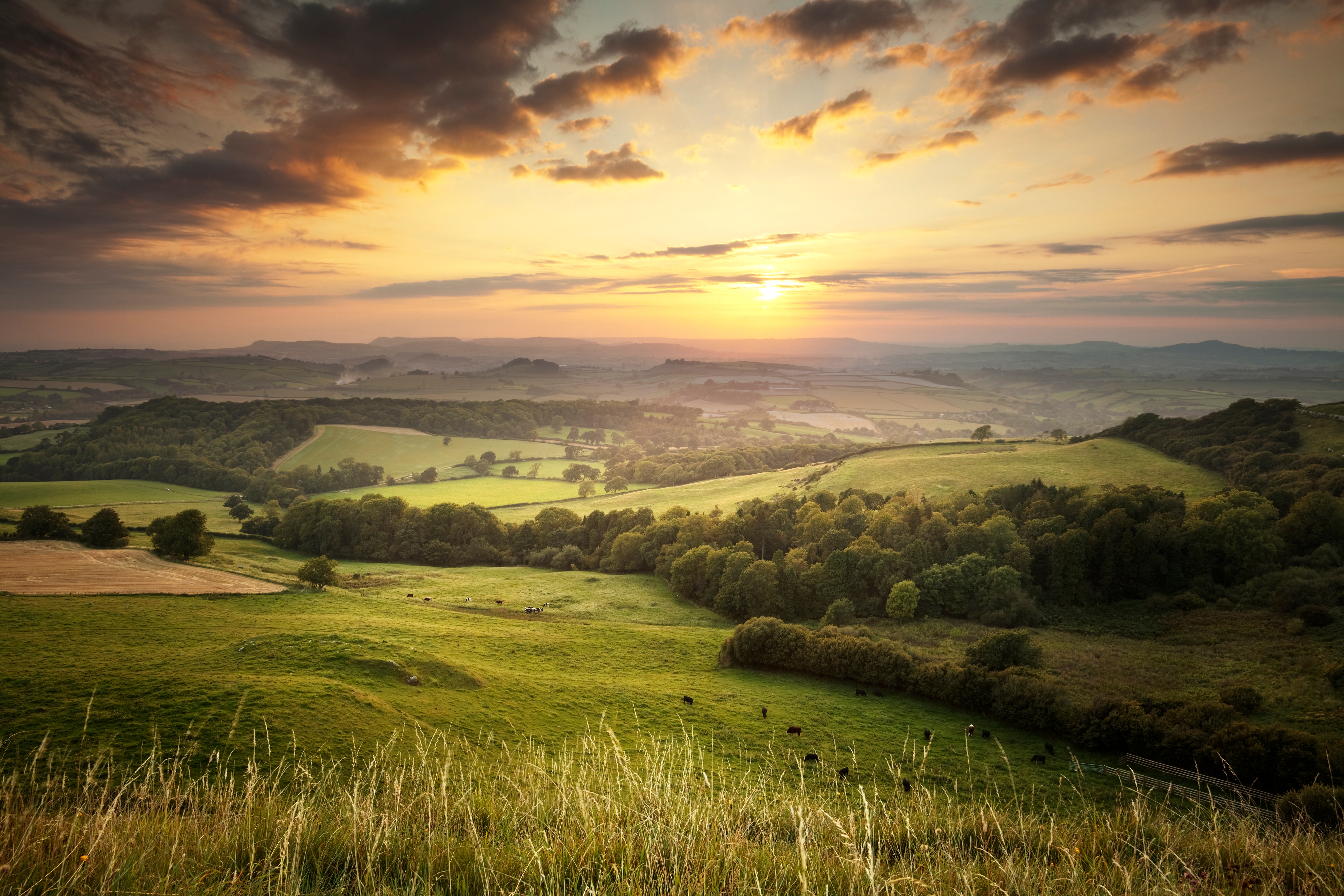 countryside of England