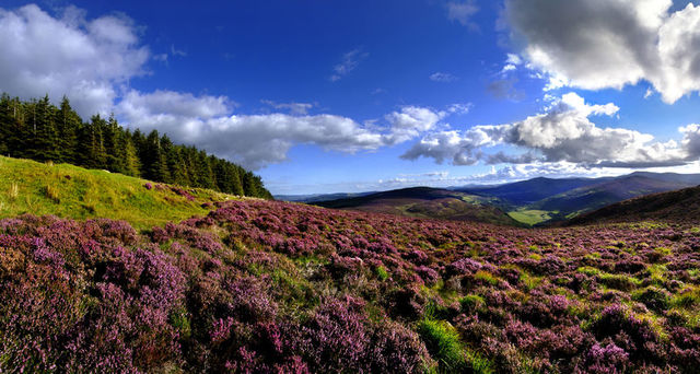 Wicklow Mountains, Co. Wicklow
