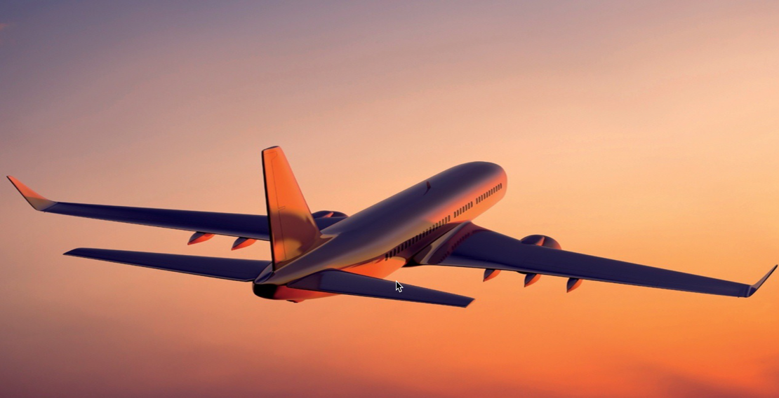 Flying home
