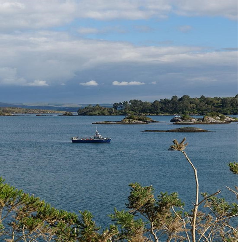 Day 5-6_Boats and island