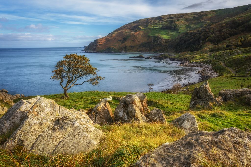 medium-Murlough Bay Evening.jpg