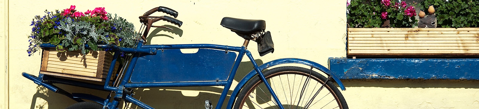 Bicycle with flower basket