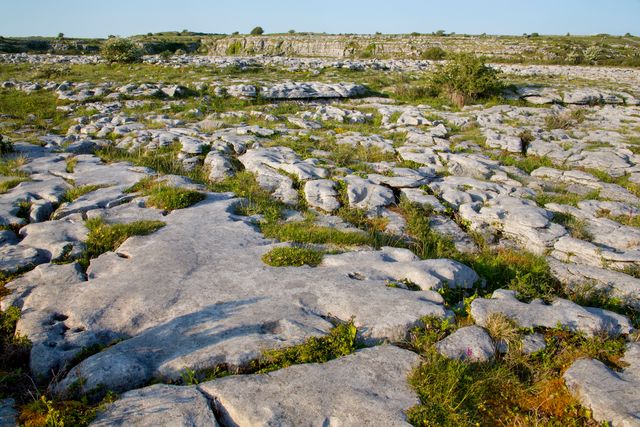 Burren.jpg