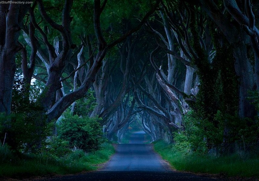 Dark Hedges, Northern Ireland, UK - by Jim Zuckerman